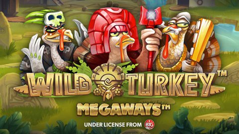 Wild Turkey Megawa